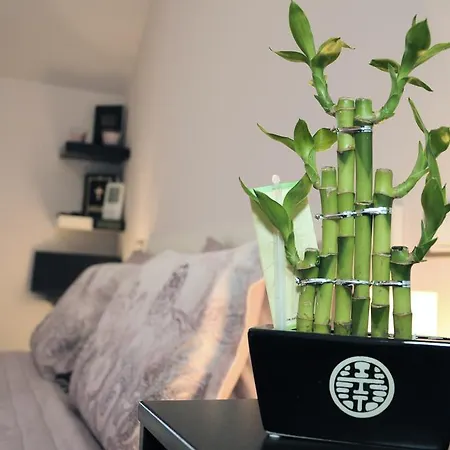 Derelli Deluxe And Derelli Adorable