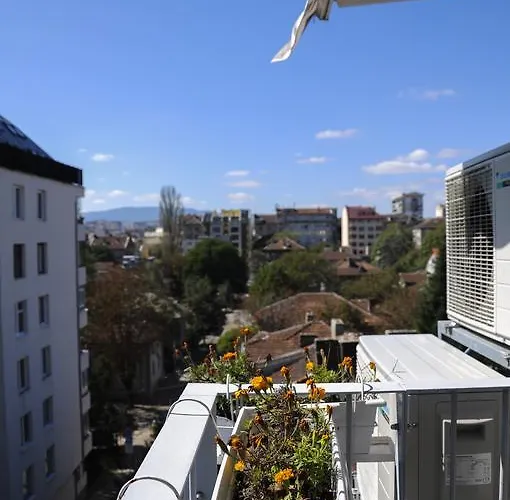 Derelli Deluxe And Derelli Adorable *