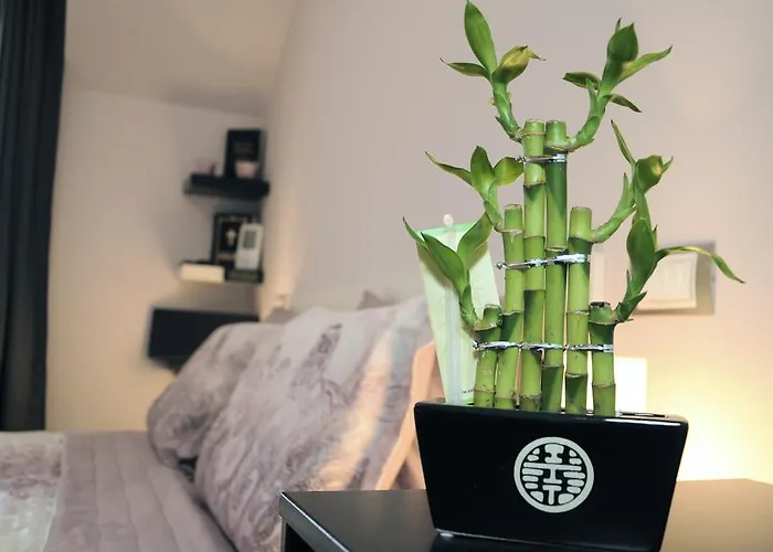 Derelli Deluxe And Derelli Adorable